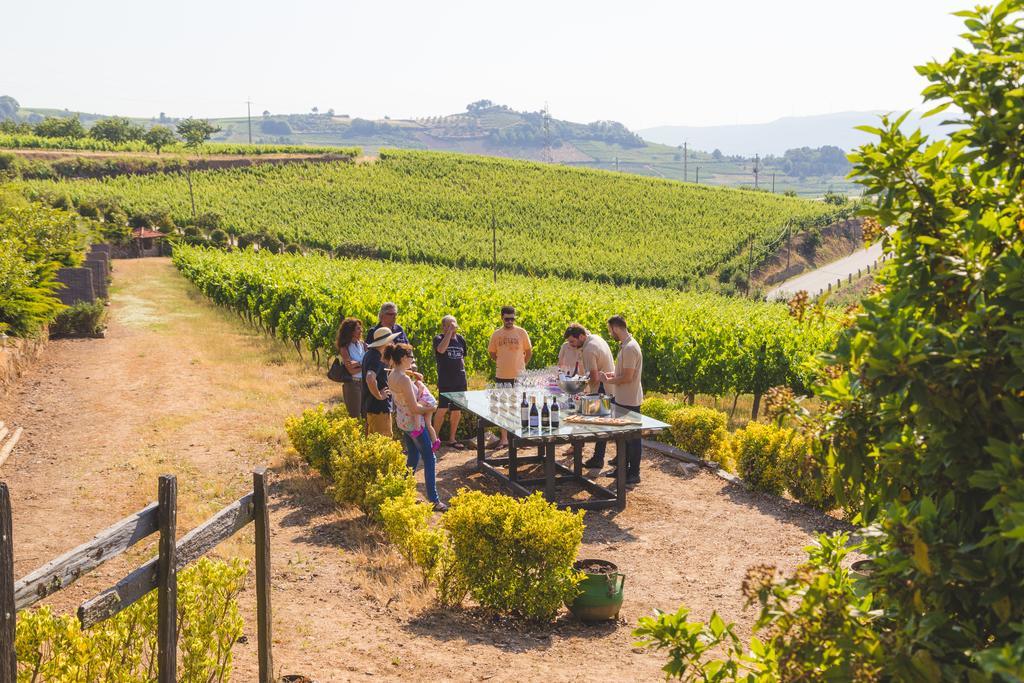 Quinta Da Barroca Douro Valley Armamar Exterior photo