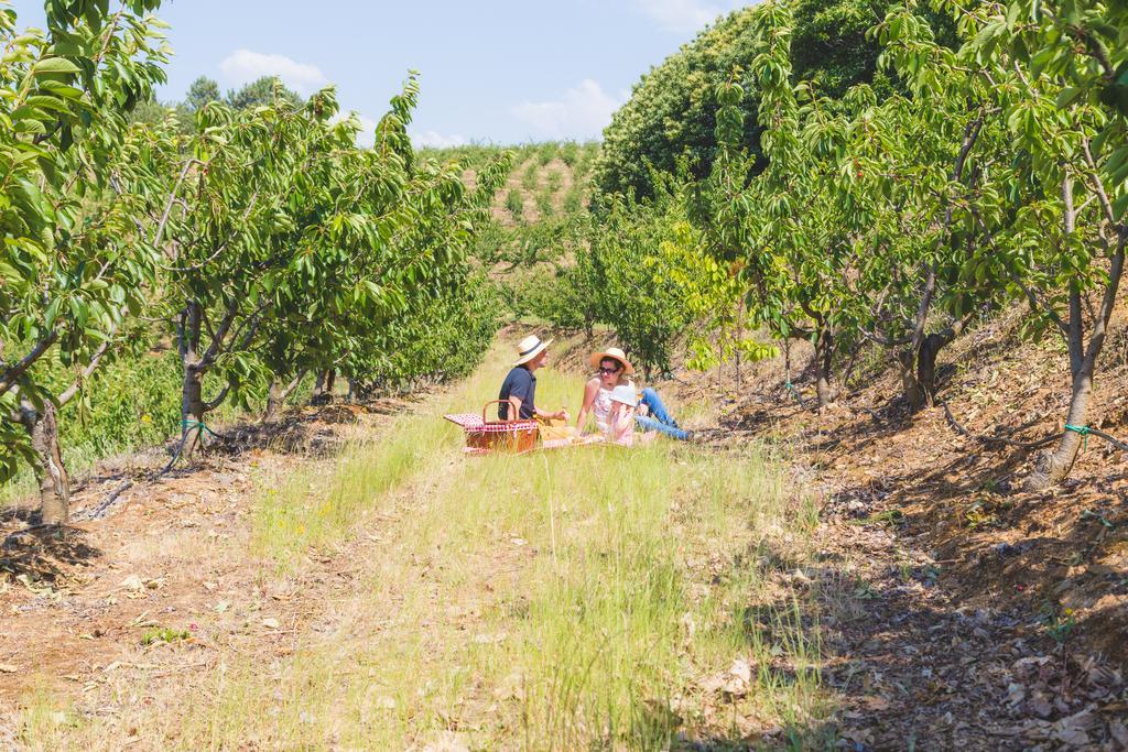 Quinta Da Barroca Douro Valley Armamar Exterior photo